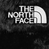 Thumbnail for Supreme The North Face Faux Fur Nuptse Jacket
