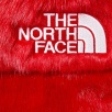 Thumbnail for Supreme The North Face Faux Fur Nuptse Jacket