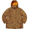 Thumbnail for GORE-TEX 700-Fill Down Parka