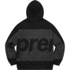 Thumbnail for Big Logo Hooded Sweatshirt