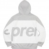 Thumbnail for Big Logo Hooded Sweatshirt