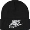 Thumbnail for Supreme Nike Snakeskin Beanie