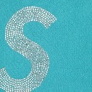 Thumbnail for Swarovski S Logo Hooded Sweatshirt