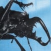 Thumbnail for Beetle Short