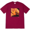Thumbnail for Supreme Butthole SurfersRembrandt Pussyhorse Tee