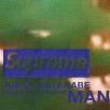Thumbnail for Supreme JUNYA WATANABE COMME des GARÇONS MAN Nature Shirt