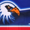 Thumbnail for Eagle Hockey Jersey