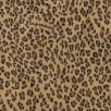 Thumbnail for Leopard Silk S S Shirt