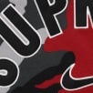 Thumbnail for Supreme Nike Arc Sweatpant