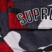 Thumbnail for Supreme Nike Arc Corduroy Cargo Pant