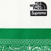 Thumbnail for Supreme The North Face Bandana Sweatpant