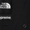 Thumbnail for Supreme The North Face Trekking Packable Belted Short