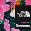 Thumbnail for Supreme The North Face Trekking S S Shirt