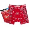 Hanes Bandana Boxer Briefs (2 Pack) - fall winter 2022 - Supreme