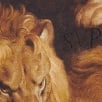 Thumbnail for Lions' Den S S Top