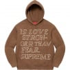 Thumbnail for Stronger Than Fear Hooded Sweatshirt