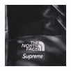 Thumbnail for Supreme The North Face Trompe L’oeil Printed Mountain Pant