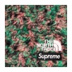 Thumbnail for Supreme The North Face High Pile Fleece Short