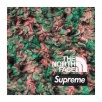 Thumbnail for Supreme The North Face High Pile Fleece Short