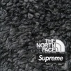 Thumbnail for Supreme The North Face High Pile Fleece Short