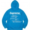 Thumbnail for Worldwide Hooded Sweatshirt