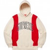 Supreme paneled arc best sale hooded sweatshirt