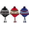 Thumbnail Chullo WINDSTOPPER Earflap Beanie