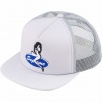 Thumbnail for Pin Up Mesh Back 5-Panel