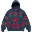 Thumbnail for Washed Panther Hooded Sweatshirt