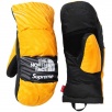 Thumbnail for Supreme The North Face Trompe L’oeil Printed Montana Mitt