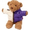 Thumbnail Supreme The North Face Bear