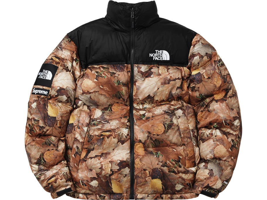 supreme north face puffer