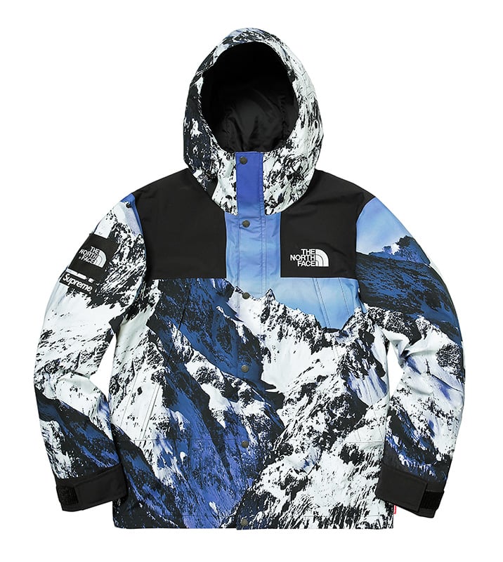 Supreme Archive Supreme®/The North Face® Mountain Parka