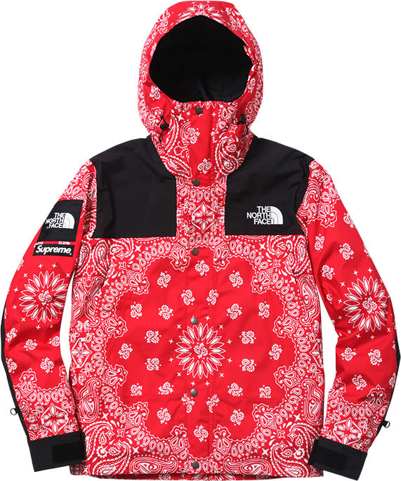 Supreme Archive TNF Mountain Parka