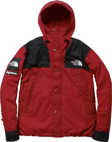 Supreme Archive TNF Mountain Jacket