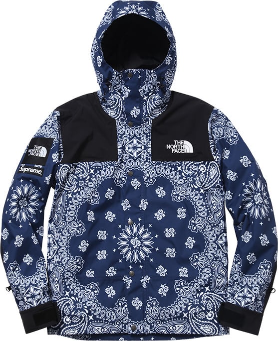 Supreme Archive TNF Mountain Parka