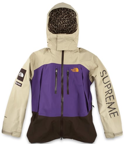 supreme north face summit series