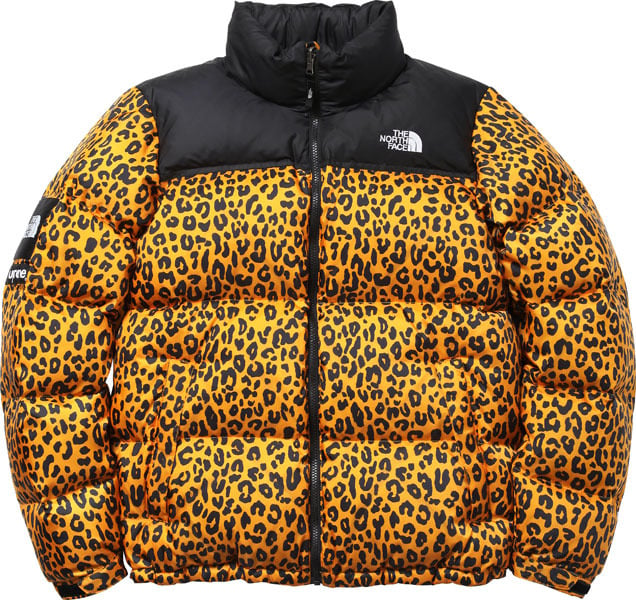 Supreme Archive TNF Leopard Nuptse