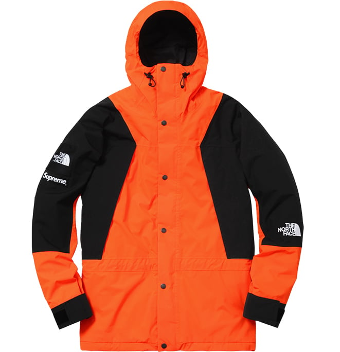 Supreme Archive TNF Mountain Jacket