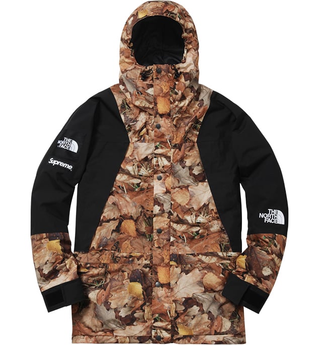 Supreme Archive TNF Mountain Jacket