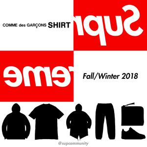 Supreme Commes des garcons box logo leak box logo