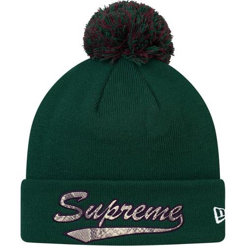 Details on New Era Snake Script Beanie None from fall winter
                                                    2017 (Price is $38)