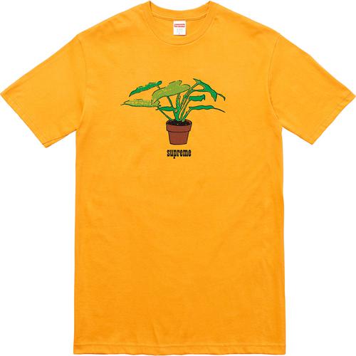 Supreme Plant Tee releasing on Week 5 for fall winter 2017
