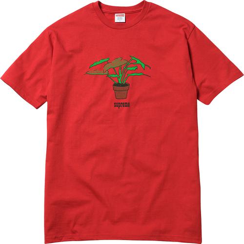 Details on Plant Tee None from fall winter
                                                    2017 (Price is $34)