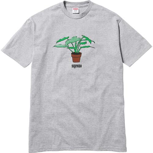 Details on Plant Tee None from fall winter
                                                    2017 (Price is $34)