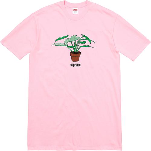 Details on Plant Tee None from fall winter 2017 (Price is $34)