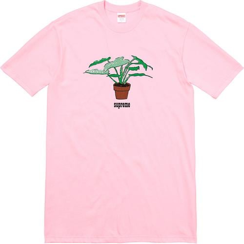 Supreme Plant Tee (FW17) - $34
