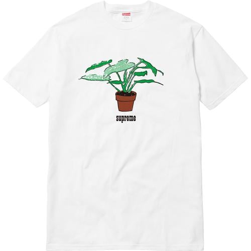 Details on Plant Tee None from fall winter
                                                    2017 (Price is $34)