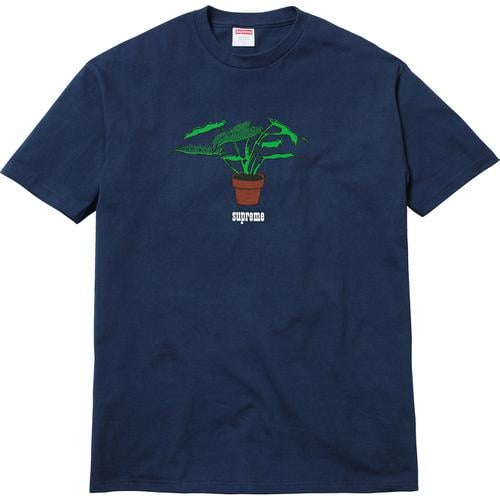 Details on Plant Tee None from fall winter
                                                    2017 (Price is $34)