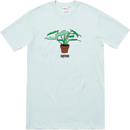 Details on Plant Tee None from fall winter 2017 (Price is $34)